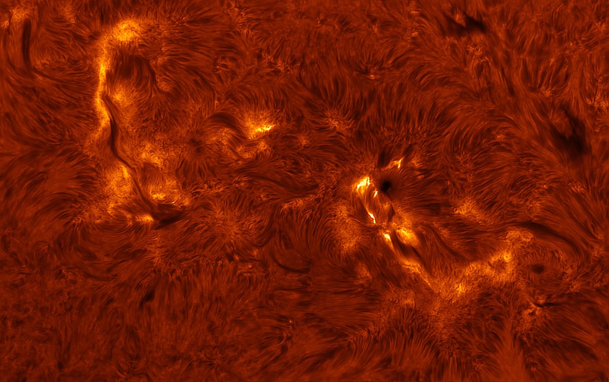 Close Up Look at Active Region of the Sun