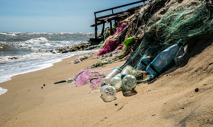 California Law to Phase Out Single-Use Plastic