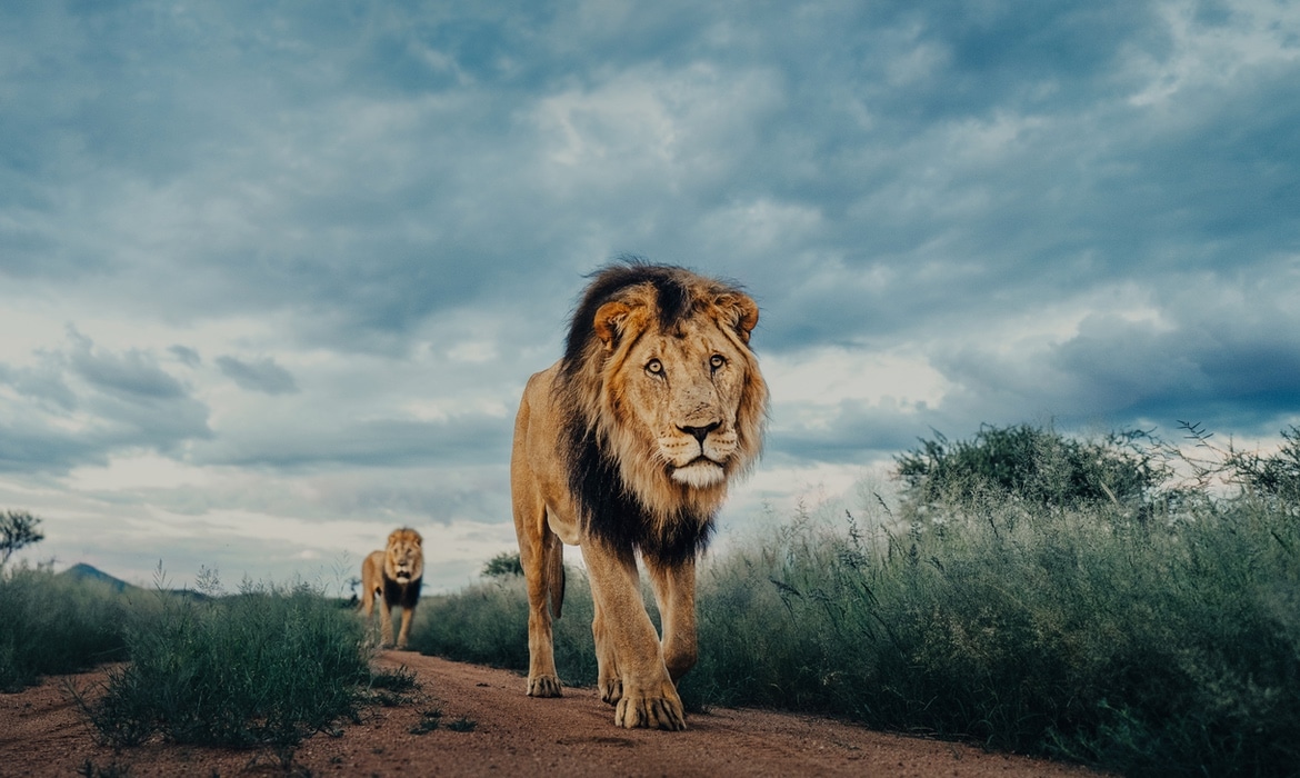 Discover Today s Top Photographers With My Modern Met 