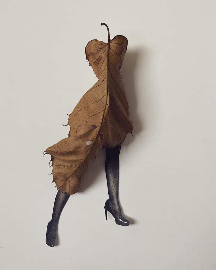 Leggy Object Arrangements by Martha Haversham