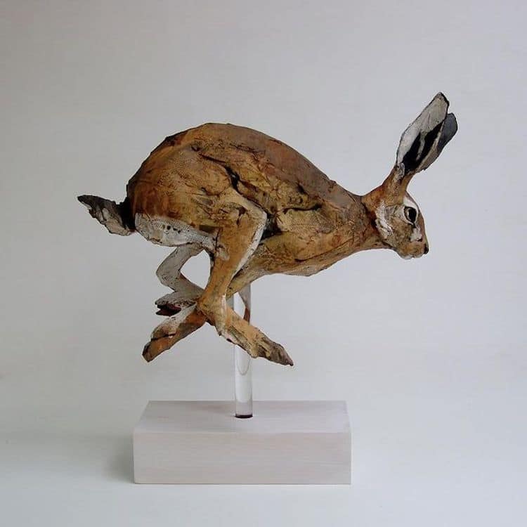 Bronze Animal Sculpture by Nichola Theakston