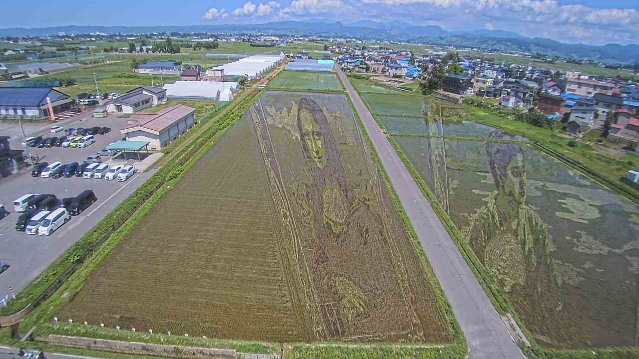 Mona Lisa Rice Paddy Art in Japan