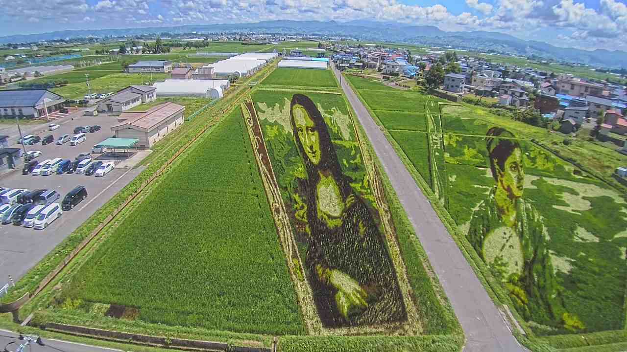 Mona Lisa rice field Art in Japan