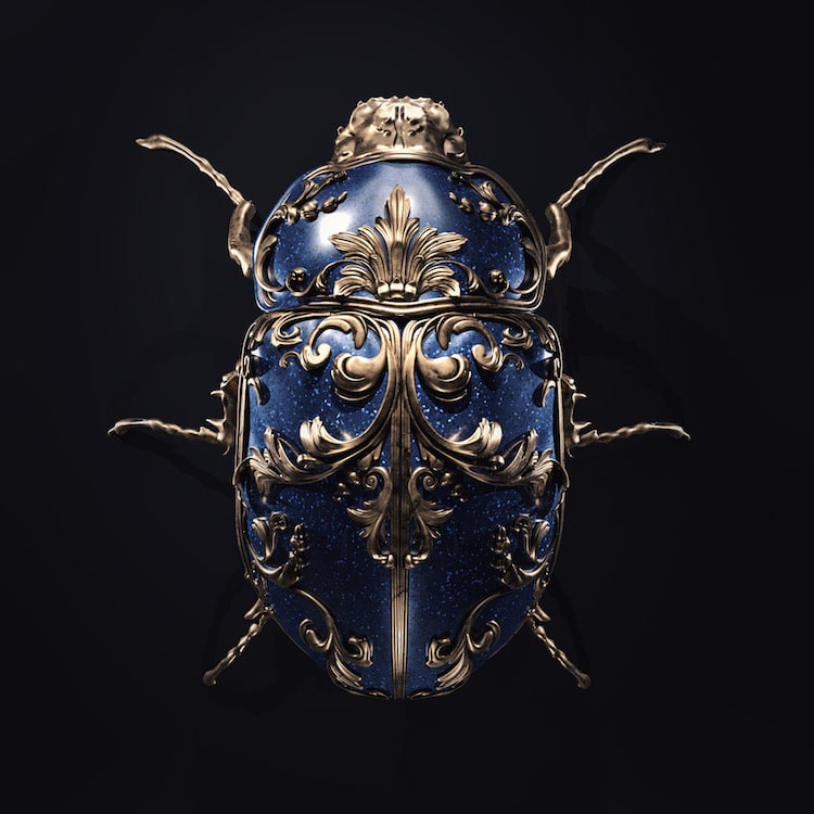 Art Nouveau Insect Jewelry Illustrations by Sasha Vinogradova