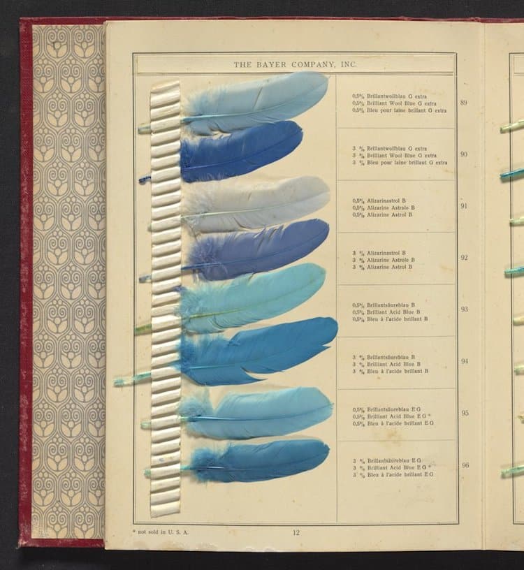 Shades on Feathers Sample Book 