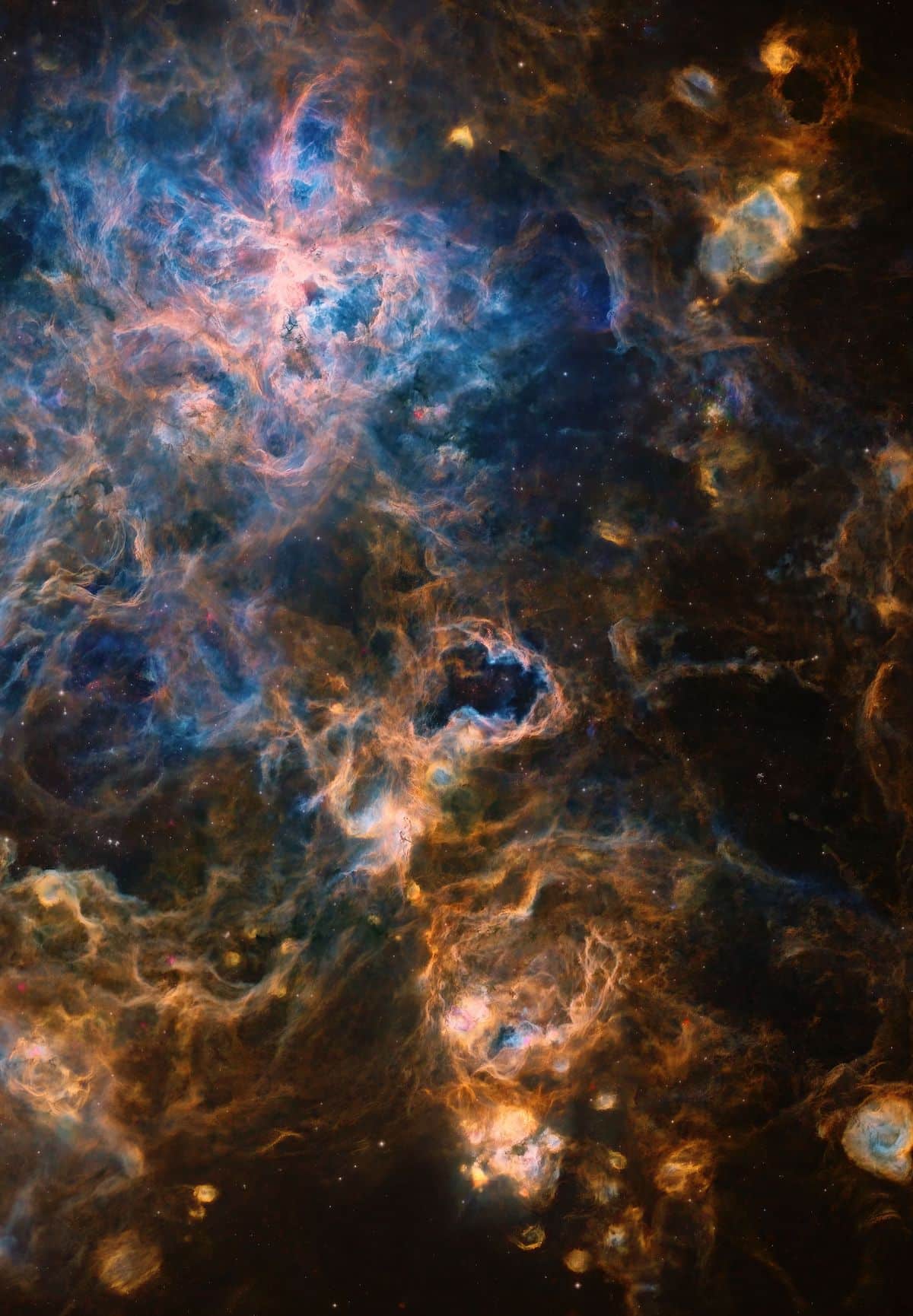 The Tarantula Nebula by Connor Matherne