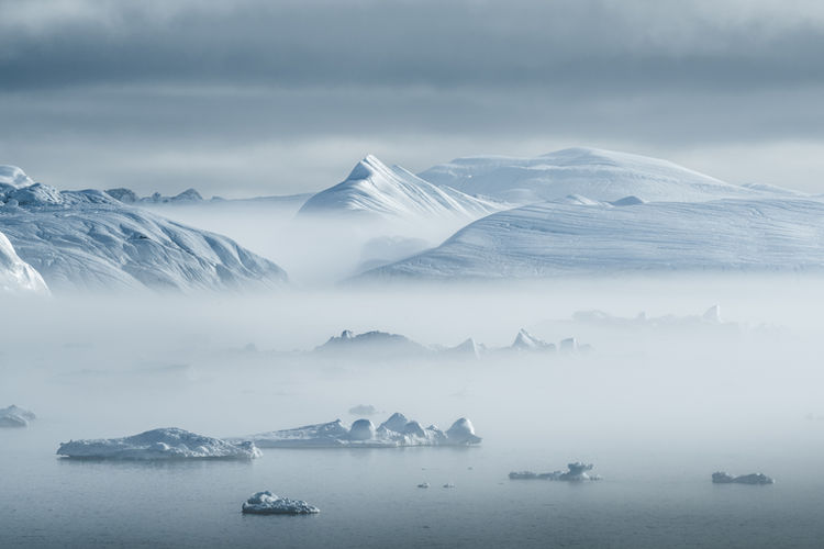 Foggy Greenland