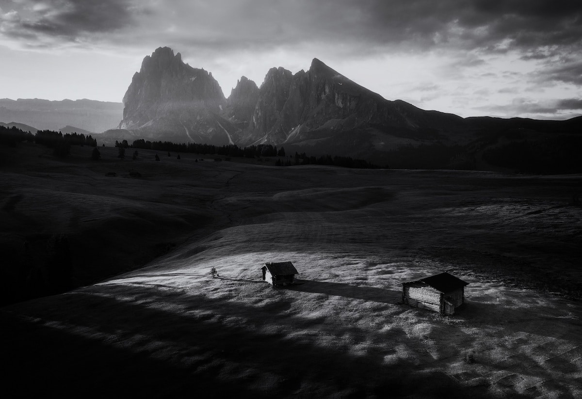 2022 Black and White Photography Award Winners