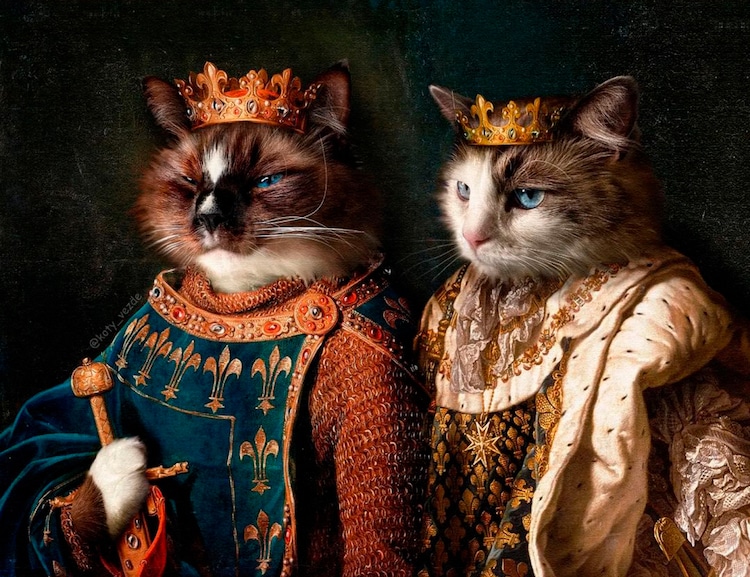 cats dressed as historical figures