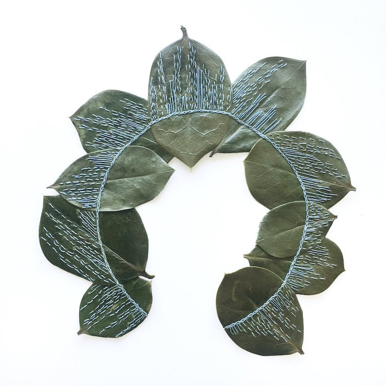 Embroidery on Leaves by Hillary Waters Fayle