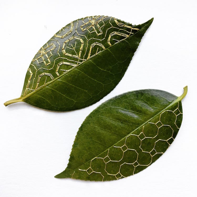 Embroidery on Leaves by Hillary Waters Fayle