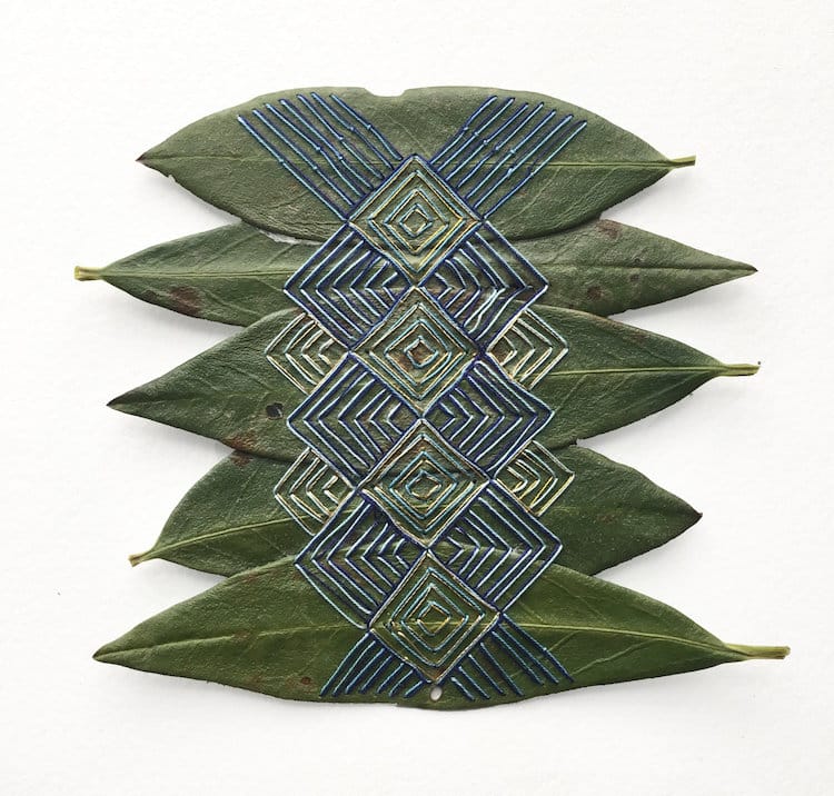 Embroidery on Leaves by Hillary Waters Fayle