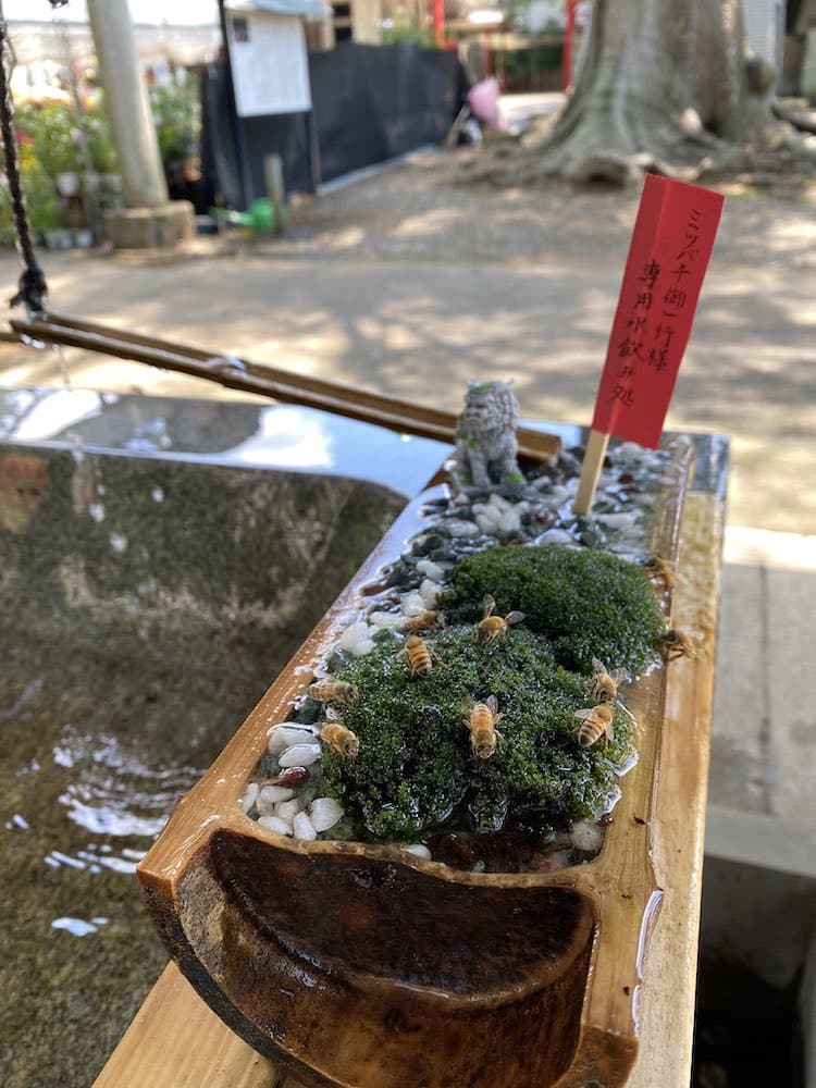 Honey Bee Sanctuary at Hitokotonushi Shrine in Japan