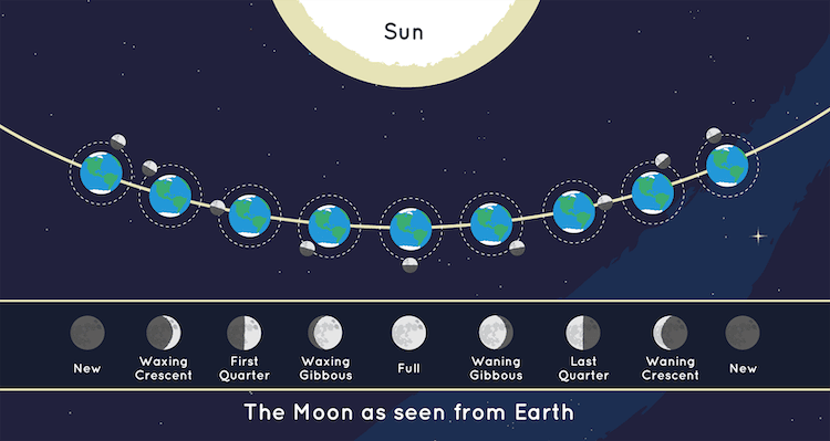 Phases of the Moon