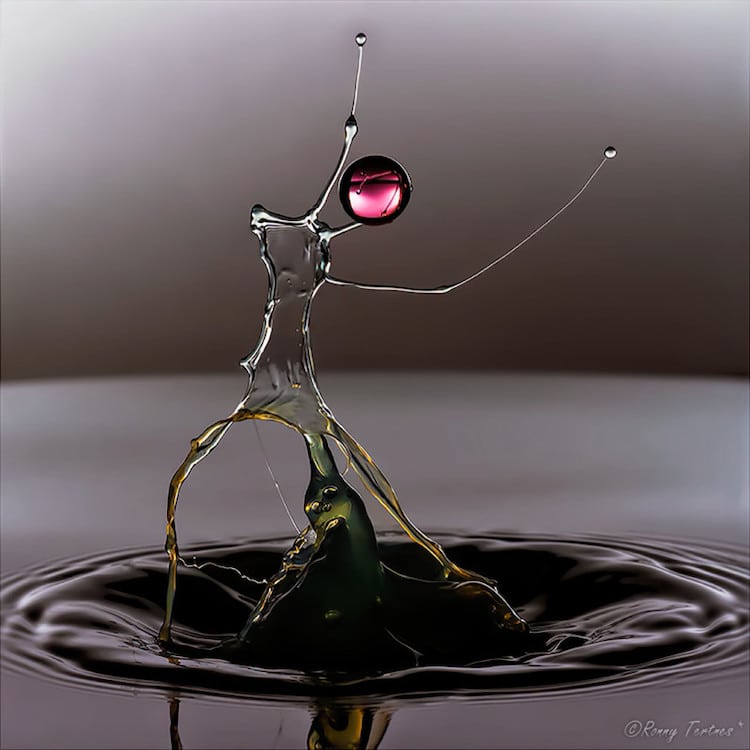 Photographer Captures Worlds in a Drop of Water