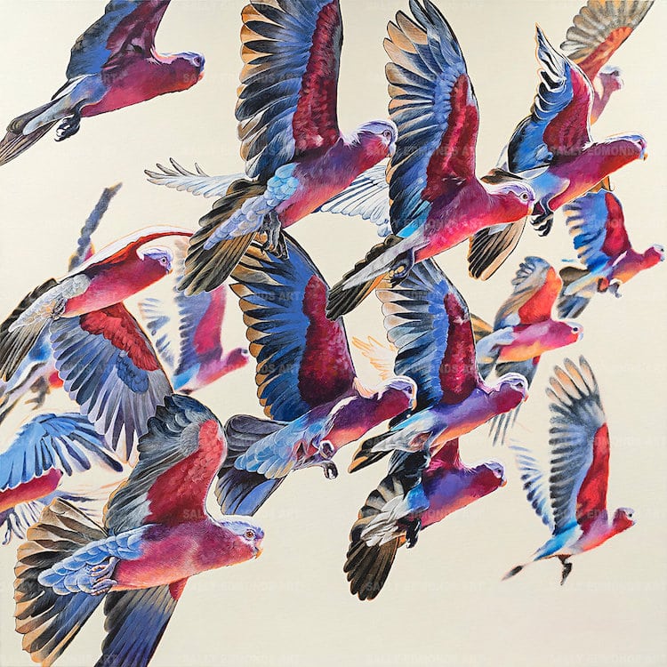 Pastel Bird Portraits by Sally Edmonds