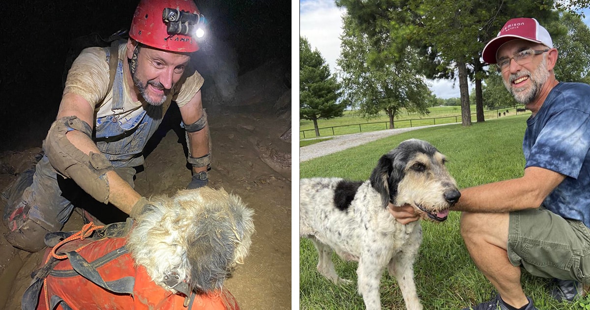 Missing Senior Dog Found Alive in Cave Two Months Later