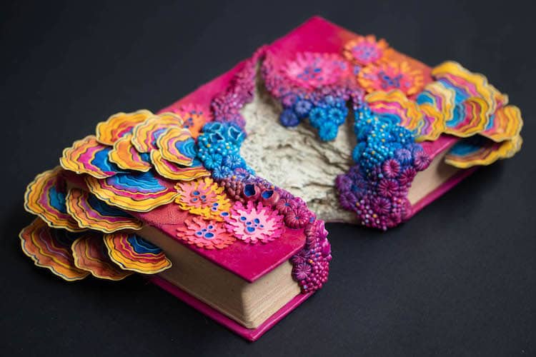 Book and Flora Sculptures by Stephanie Kilgast