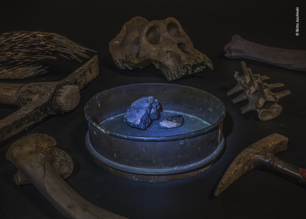 Coltan Surrounded by Mining Tools and Animal Remains