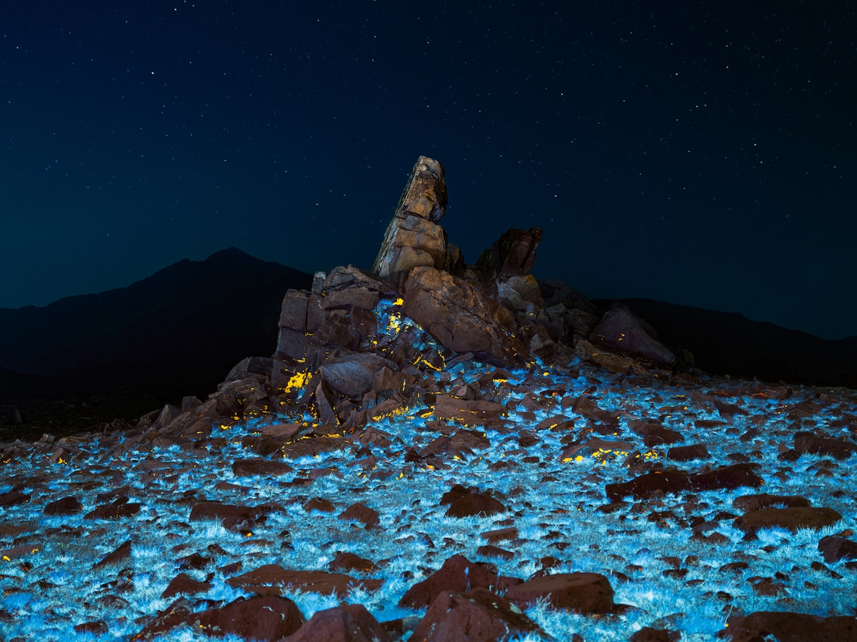 Landscape Under UV Light by Cody Cobb