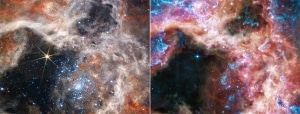 James Webb Space Telescope Captures Tarantula Nebula