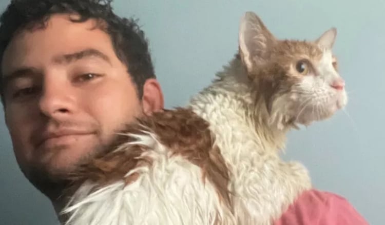 Man Rescues Cat From Hurricane Ian