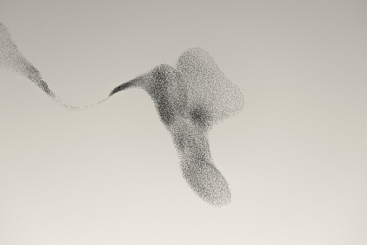 Mumuration in the Shape of a Bird