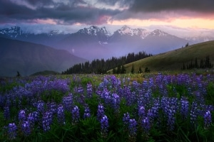 New Photography Book Highlights Natural Beauty of Washington