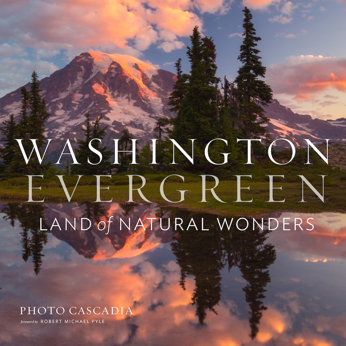 Washington Evergreen by Photo Cascadia