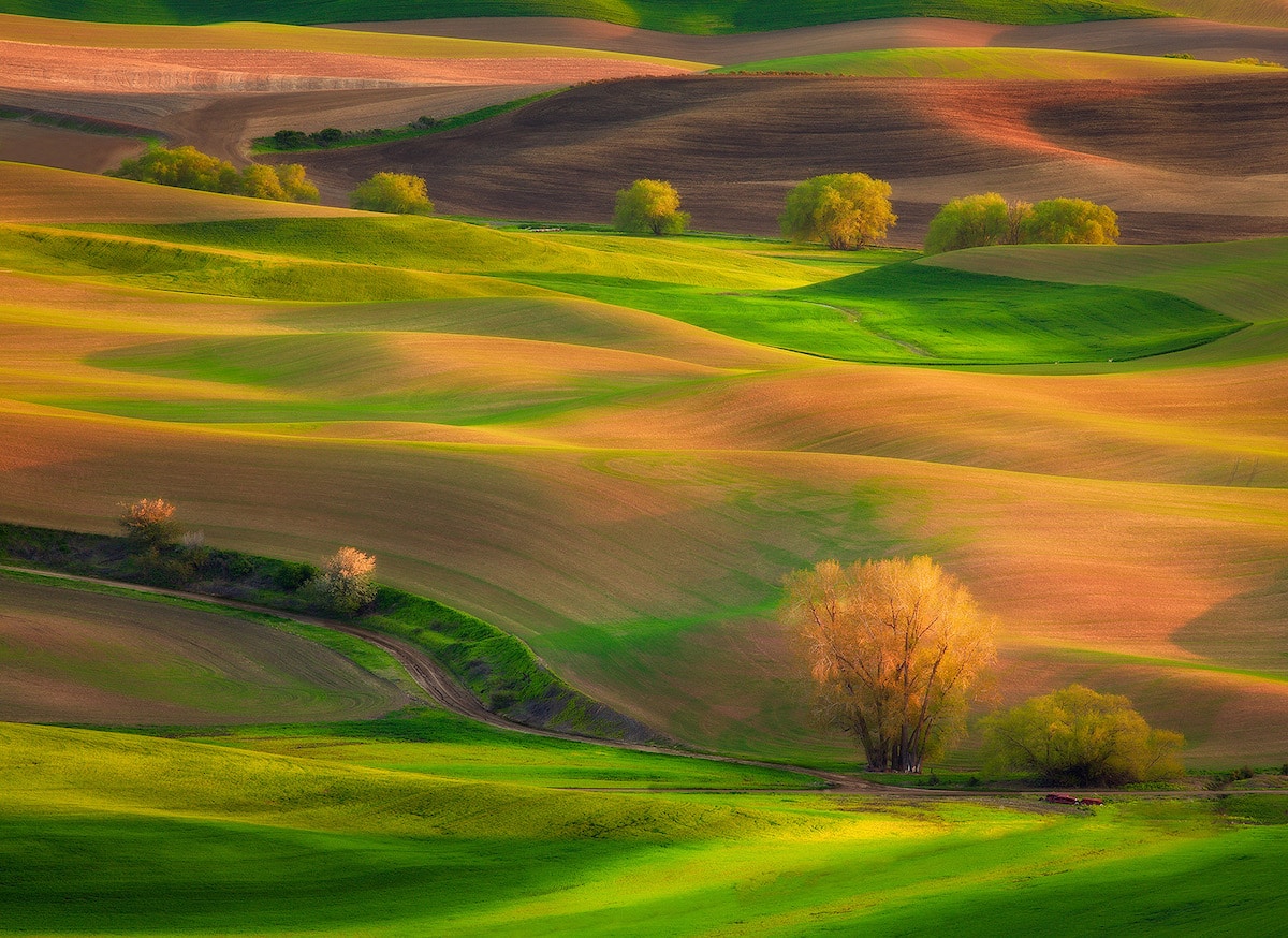 Palouse Hills at Steptoe Butte State Park Heritage Site