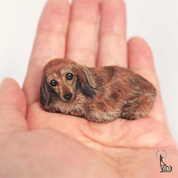 Delicate Rock Paintings Look Like Palm-Sized Pets