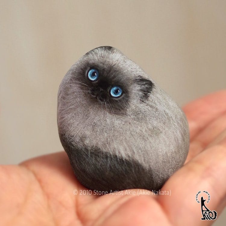 Cute Pet Rock - Natural - Kness