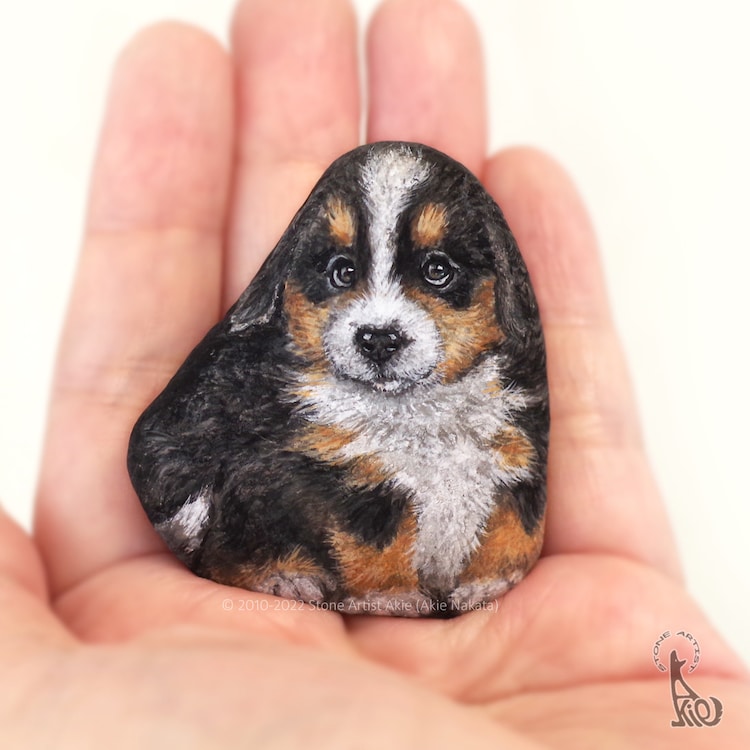 Delicate Rock Paintings Look Like Palm-Sized Pets