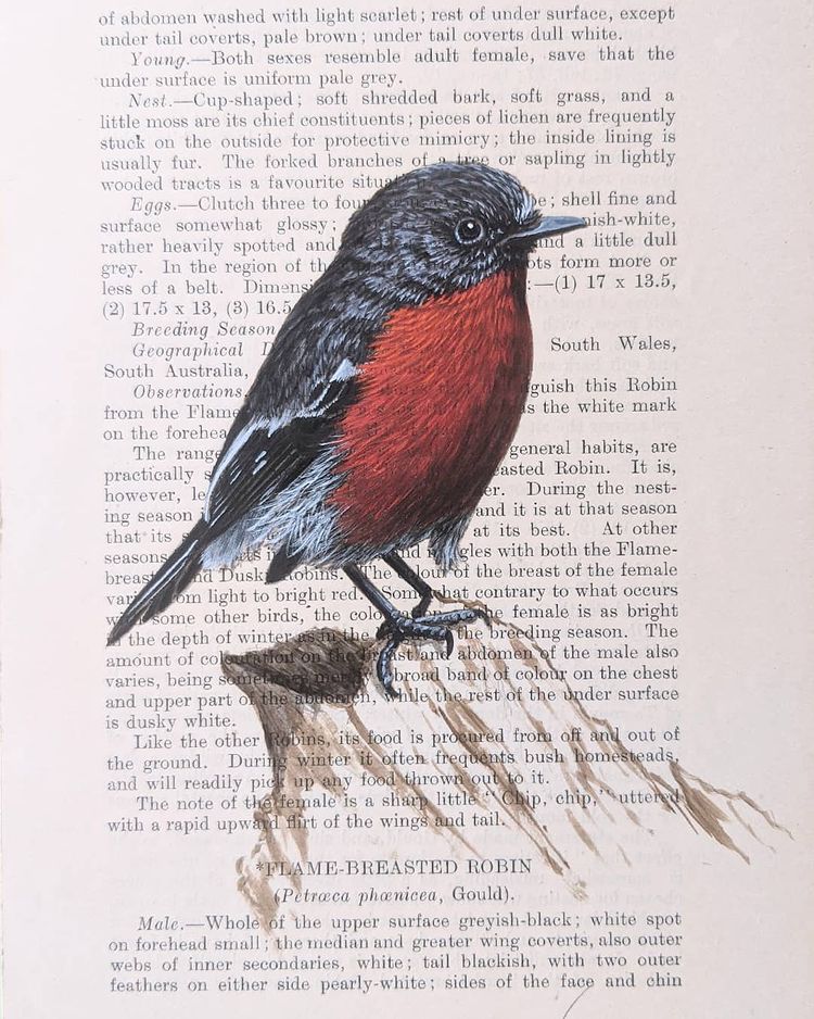 Acrylic Bird Paintings by Craig Williams