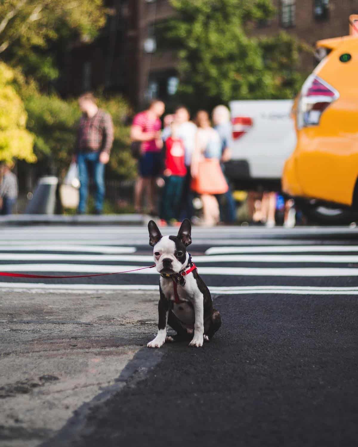 Street Photography by Benjamin Lee