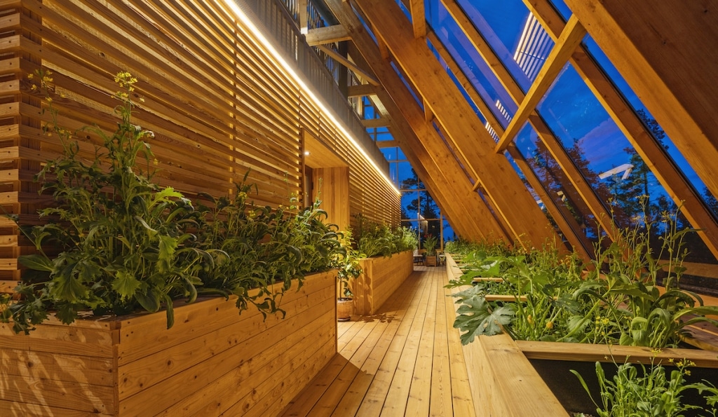 Live Off Grid Surrounded by Sweden's Nature in the A-Frame Villa - Luxurious Off Grid Villas In Nordic Destinations