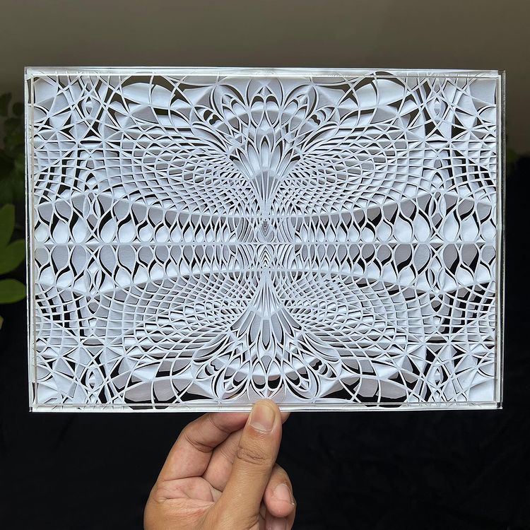 Paper Cut Illusions by Parth Kothekar