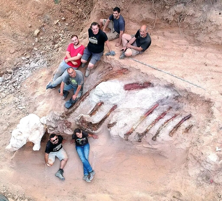 Man Finds 82-Foot-Long Dinosaur Fossil in His Backyard