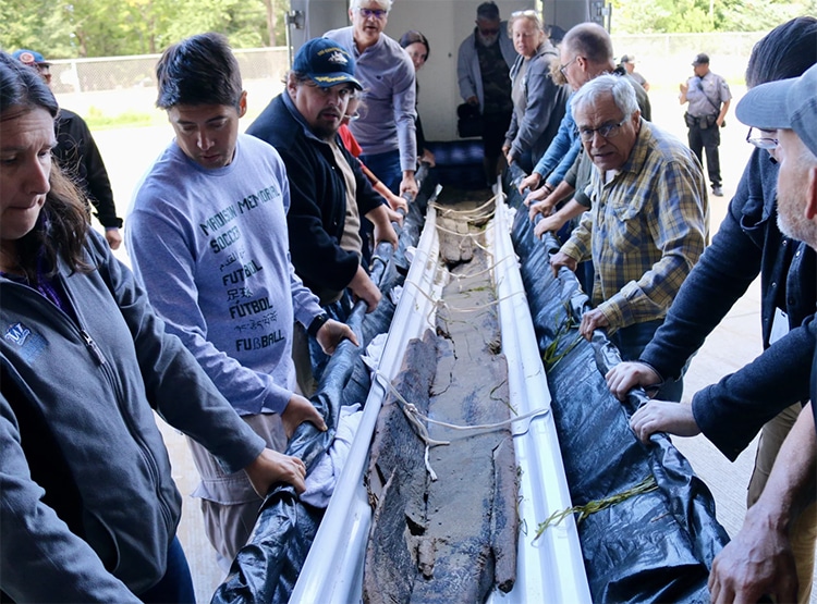 Ancient Canoe Dating to 1000 B.C.E. Found in Wisconsin Lake