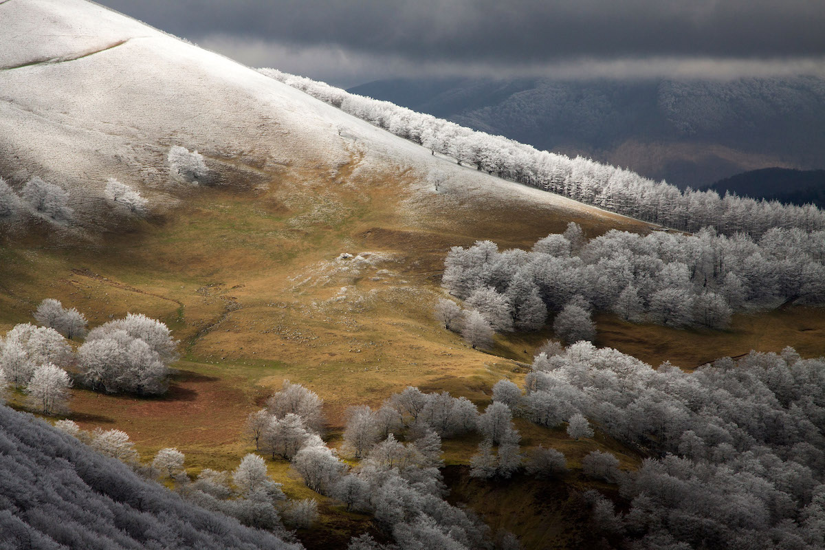 Slope of Mount ADI in Navarra, Spain
