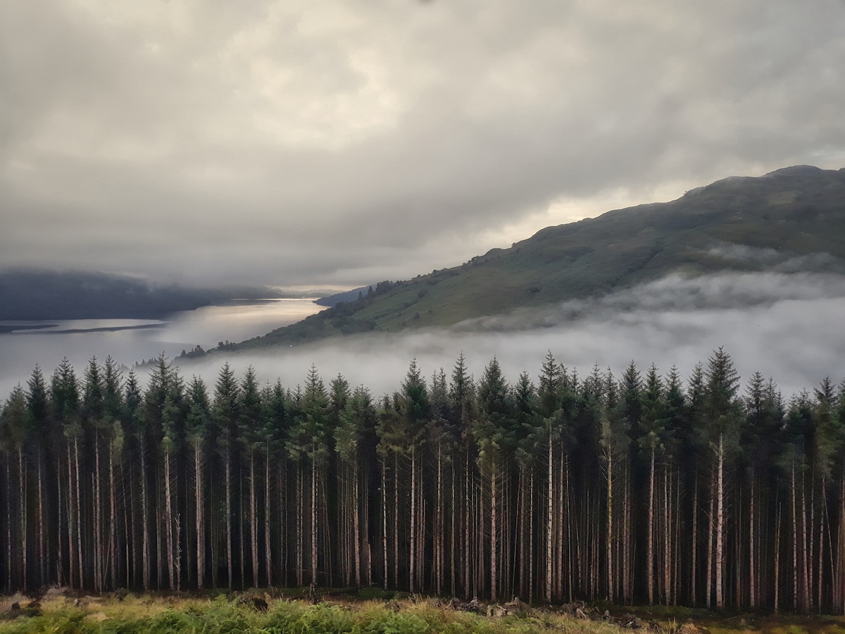 Hills and Forest in Tarbet, Loch Lomond Scotland Covered in Mist