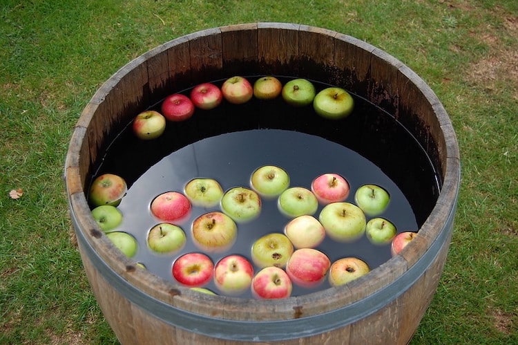 Bobbing for apples