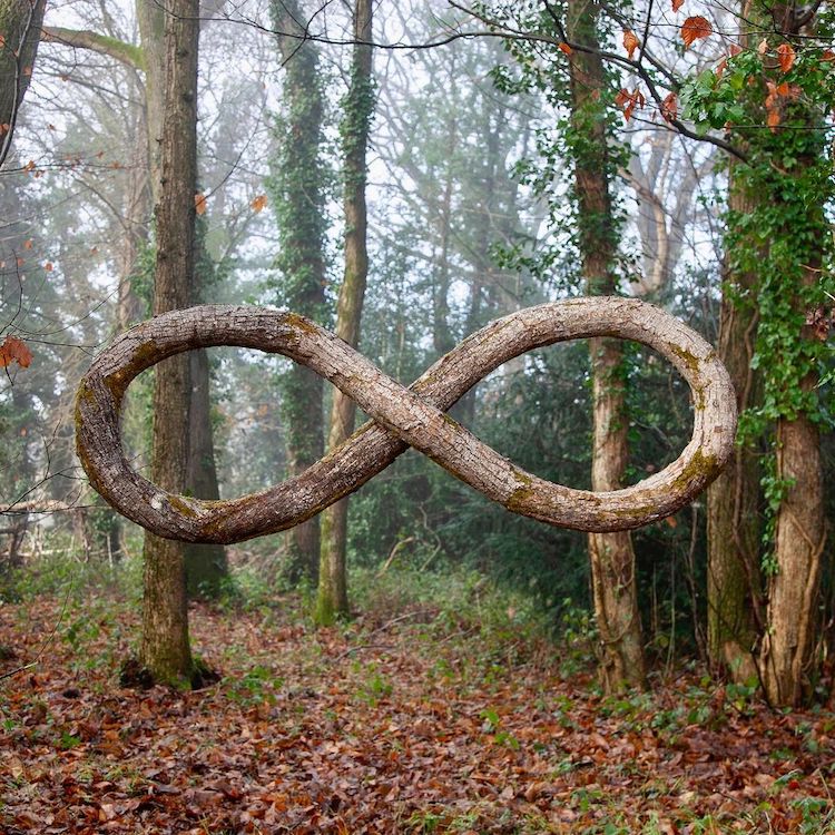 Wood Sculpture by Monsieur Plant