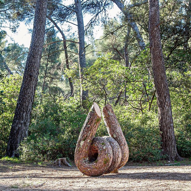 Wood Sculpture by Monsieur Plant