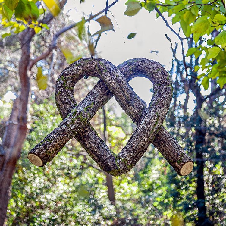 Wood Sculpture by Monsieur Plant