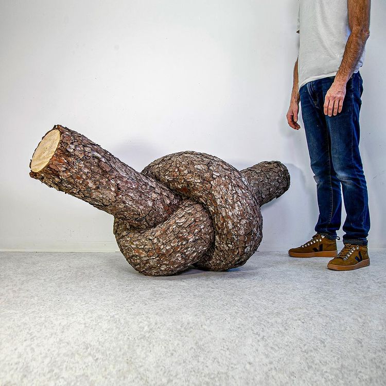 Wood Sculpture by Monsieur Plant