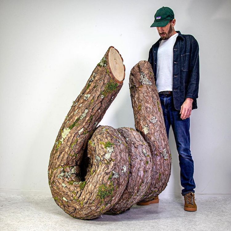 Wood Sculpture by Monsieur Plant