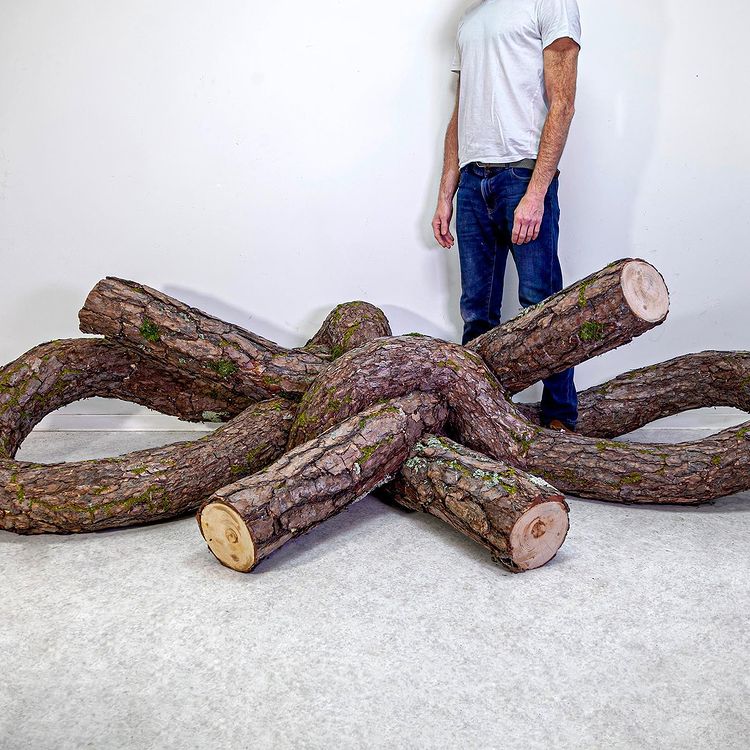 Wood Sculpture by Monsieur Plant