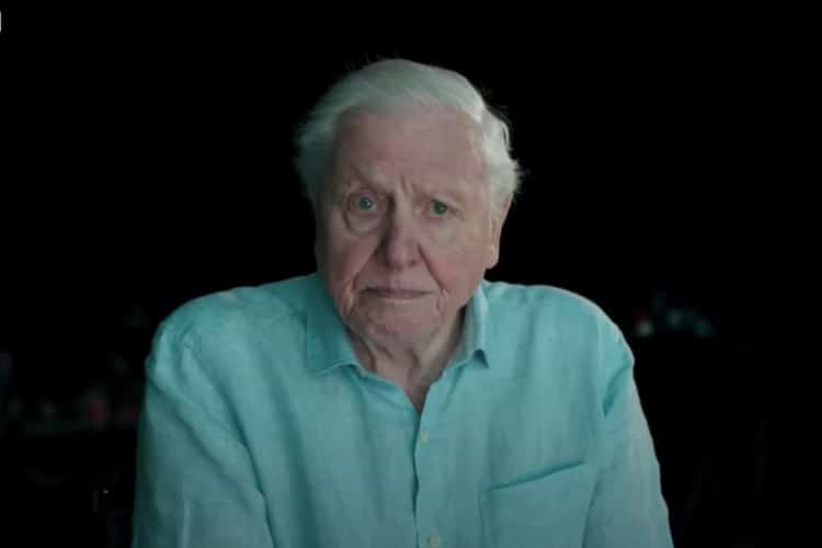 Sir David Attenborough Looks at the Camera and Makes ‘Final’ Haunting Plea for the Future of Our Planet