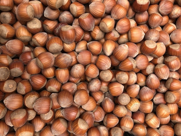 Hazelnuts from France